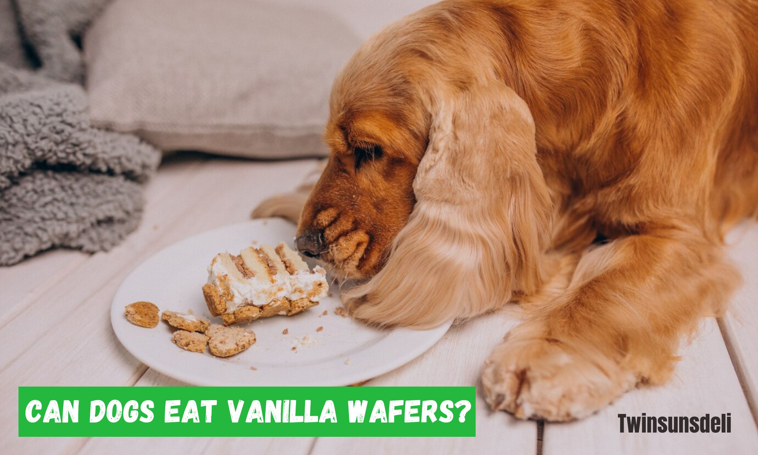 Can dogs eat vanilla wafers