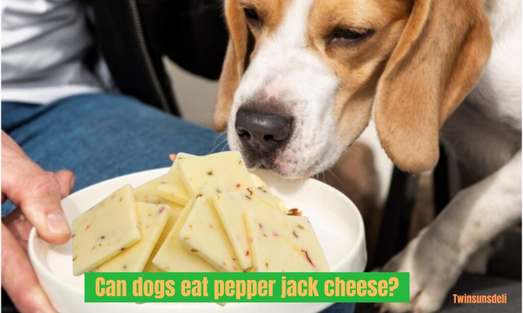 Can dogs eat pepper jack cheese