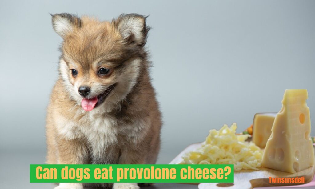 Can dogs eat provolone cheese