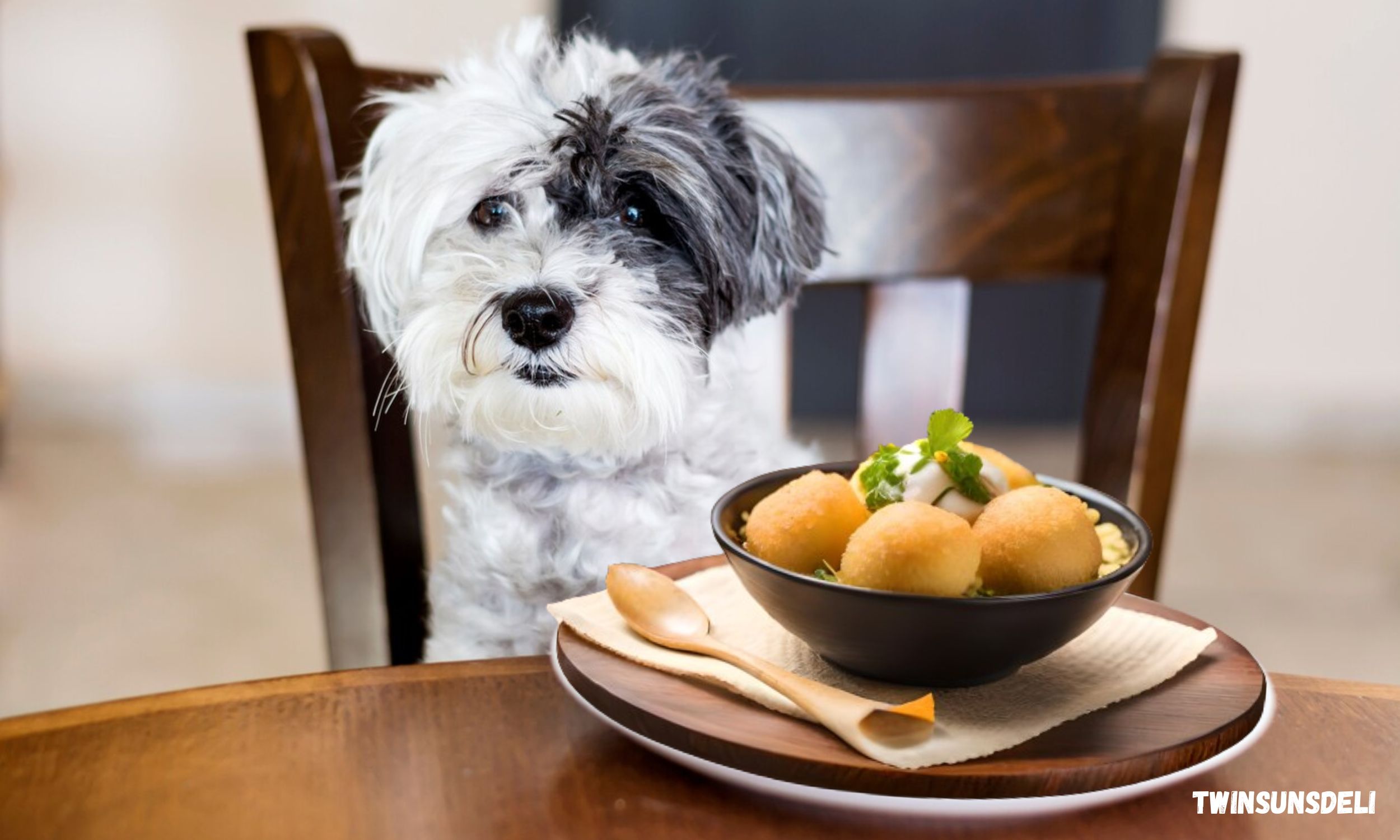 Can dogs have hush puppies?